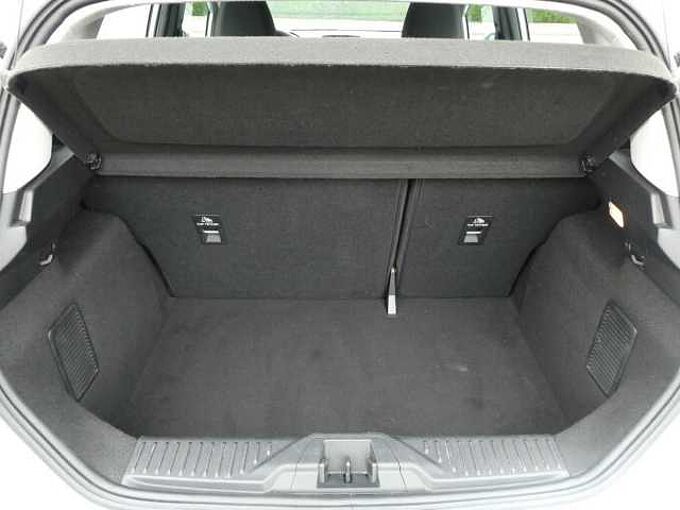 Ford Fiesta 1.0 i ecoboost 100pk Trend Luxe 5d '23 52000km (75906)