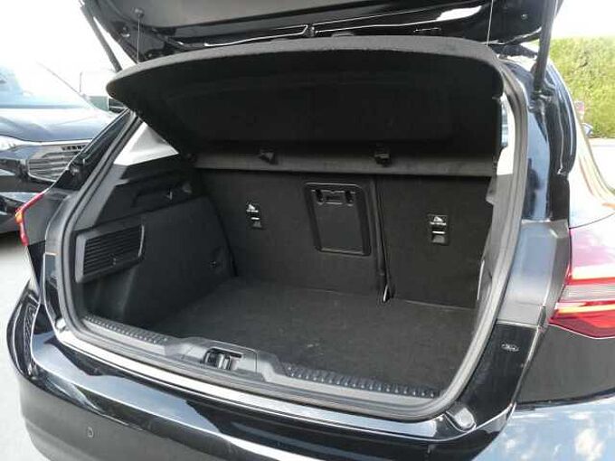 Ford Focus 5d 1.0 i MHEV 125pk Titanium X A. Camera '24 14000km (26524)