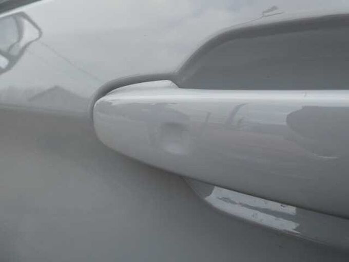 Ford Transit Custom L1 Multi-Use SPORT 5pl 2.5 i PHEV 225pk Automaat STOCK (08435)