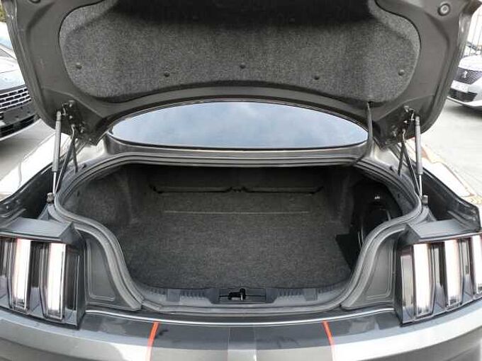 Ford Mustang Coupe 2.3 i ecoboost 317pk Sport '17 120000km (284820)