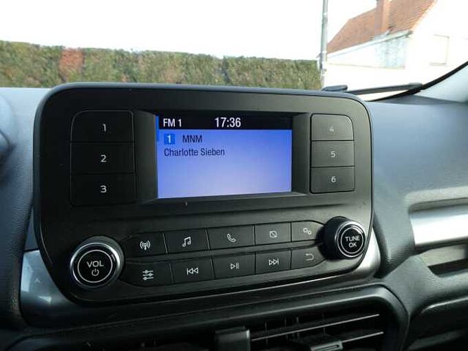 Ford Ecosport 1.0 i ecoboost 125pk Business '18 137000km (18030)