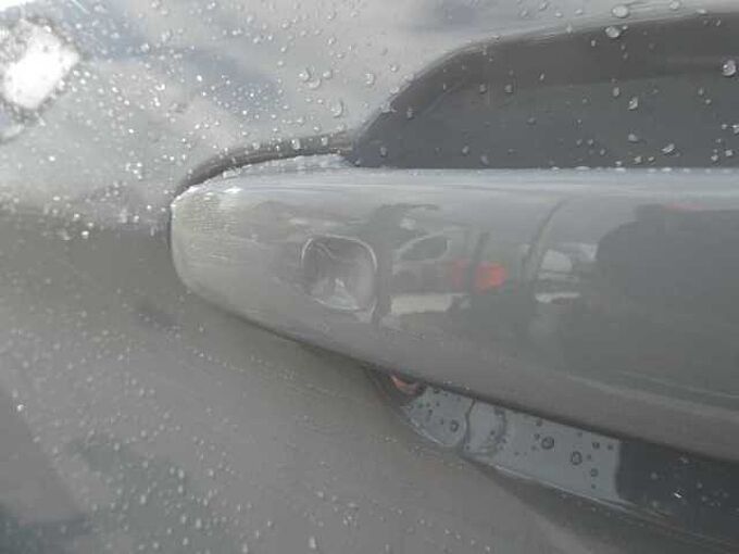 Ford Transit Custom L2 Multi-Use 5pl 2.0D 170pk Automaat Limited 360° BLIS ACC (71582)