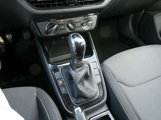 SKODA Fabia 1.0 TSi 110pk Automaat Business '24 22000km (38204)