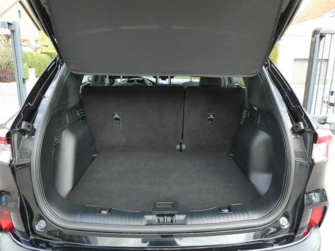 Ford Kuga 1.5 i ecoboost 150pk Business Camera '24 20000km (66174)
