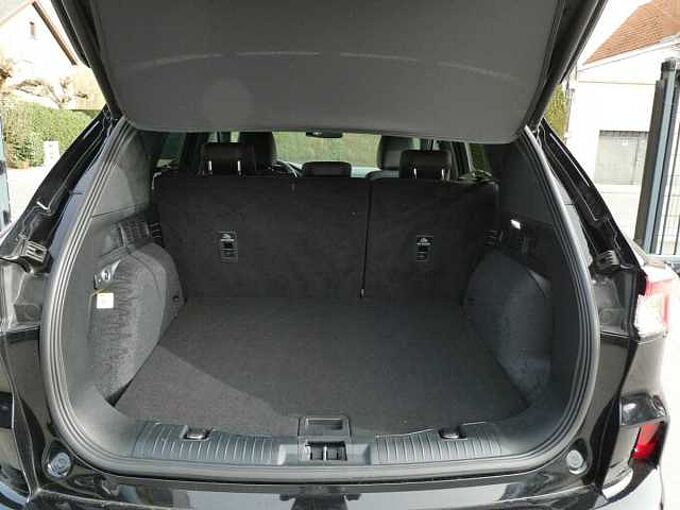 Ford Kuga ST-Line X 1.5 i 150pk ACC BLIS Trekhaak '22 12000km(60807)