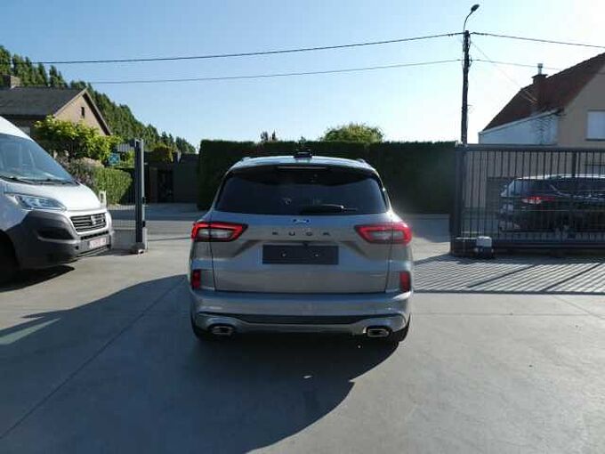 Ford Kuga ST-Line X 2.5 i FHEV 180pk 360° Cam ACC BLIS '25 14000km (31057)