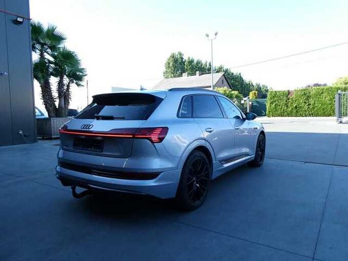 Audi E-tron 50 Quattro 313pk 2x S-Line Black Pack Trekhaak ACC BLIS (31004)