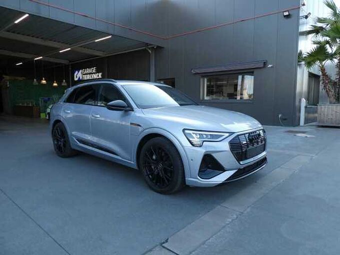 Audi E-tron 50 Quattro 313pk 2x S-Line Black Pack Trekhaak ACC BLIS (31004)