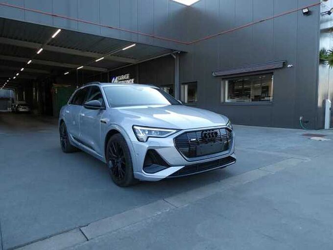 Audi E-tron 50 Quattro 313pk 2x S-Line Black Pack Trekhaak ACC BLIS (31004)