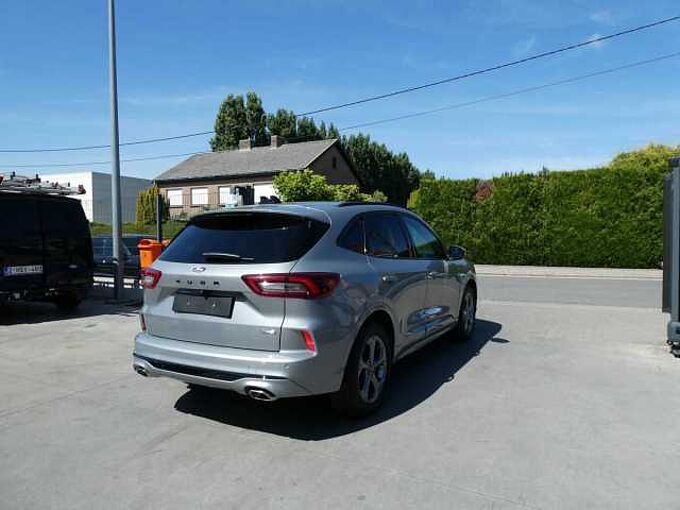 Ford Kuga ST-Line 2.5 i FHEV 180pk Camera '25 17000km (14769)