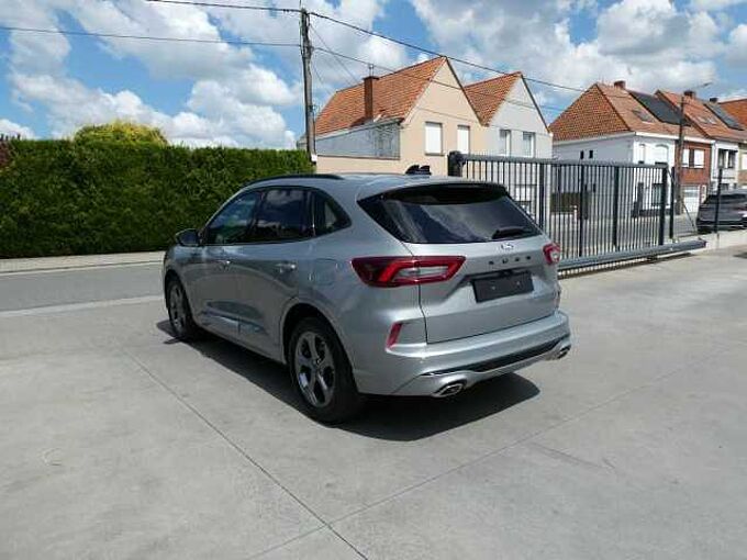 Ford Kuga ST-Line 2.5 i FHEV 180pk Camera '25 17000km (14785)