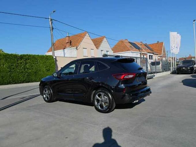 Ford Kuga ST-Line Sport 2.5 i FHEV 180pk '25 16000km New model (08384)