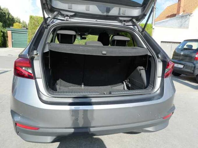SKODA Fabia 1.0 TSi 115pk Automaat Business Luxe (85623)